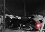 Standbild Okinawa Menschen Okinawa Ryukyu Inseln, 1945, aus Sekunde 15 historischem Filmmaterial Videoclip 65675051483