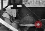 Standbild Okinawa Menschen Okinawa Ryukyu Inseln, 1945, aus Sekunde 21 historischem Filmmaterial Videoclip 65675051483