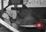 Standbild Okinawa Menschen Okinawa Ryukyu Inseln, 1945, aus Sekunde 25 historischem Filmmaterial Videoclip 65675051483