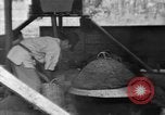 Standbild Okinawa Menschen Okinawa Ryukyu Inseln, 1945, aus Sekunde 27 historischem Filmmaterial Videoclip 65675051483