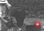 Standbild Okinawa Menschen Okinawa Ryukyu Inseln, 1945, aus Sekunde 53 historischem Filmmaterial Videoclip 65675051483