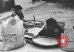 Image of Okinawa people Okinawa Ryukyu Islands, 1945, second 34 stock footage video 65675051487