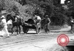 Image of Okinawa people Okinawa Ryukyu Islands, 1945, second 53 stock footage video 65675051487