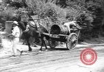 Image of Okinawa people Okinawa Ryukyu Islands, 1945, second 59 stock footage video 65675051487