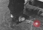 Image of Okinawa women Okinawa Ryukyu Islands, 1945, second 43 stock footage video 65675051488