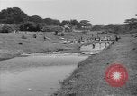 Image of Okinawa women Okinawa Ryukyu Islands, 1945, second 61 stock footage video 65675051488