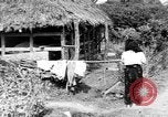 Standbild Okinawa Menschen Okinawa Ryukyu Inseln, 1945, aus Sekunde 59 historischem Filmmaterial Videoclip 65675051489