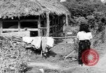 Standbild Okinawa Menschen Okinawa Ryukyu Inseln, 1945, aus Sekunde 61 historischem Filmmaterial Videoclip 65675051489