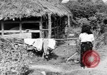 Standbild Okinawa Menschen Okinawa Ryukyu Inseln, 1945, aus Sekunde 62 historischem Filmmaterial Videoclip 65675051489