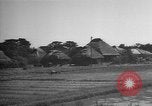 Image of Okinawa people Okinawa Ryukyu Islands, 1945, second 16 stock footage video 65675051490