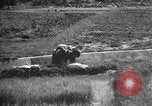 Image of Okinawa people Okinawa Ryukyu Islands, 1945, second 19 stock footage video 65675051490