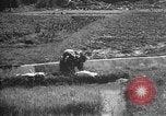 Image of Okinawa people Okinawa Ryukyu Islands, 1945, second 20 stock footage video 65675051490