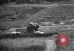 Image of Okinawa people Okinawa Ryukyu Islands, 1945, second 21 stock footage video 65675051490