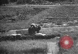 Image of Okinawa people Okinawa Ryukyu Islands, 1945, second 22 stock footage video 65675051490