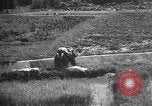 Image of Okinawa people Okinawa Ryukyu Islands, 1945, second 23 stock footage video 65675051490