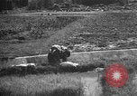 Image of Okinawa people Okinawa Ryukyu Islands, 1945, second 25 stock footage video 65675051490