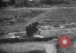 Image of Okinawa people Okinawa Ryukyu Islands, 1945, second 27 stock footage video 65675051490