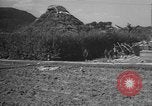 Image of Okinawa people Okinawa Ryukyu Islands, 1945, second 42 stock footage video 65675051491