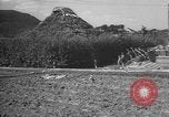 Image of Okinawa people Okinawa Ryukyu Islands, 1945, second 46 stock footage video 65675051491
