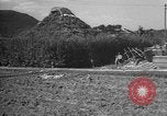Image of Okinawa people Okinawa Ryukyu Islands, 1945, second 47 stock footage video 65675051491