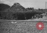Image of Okinawa people Okinawa Ryukyu Islands, 1945, second 49 stock footage video 65675051491