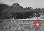 Image of Okinawa people Okinawa Ryukyu Islands, 1945, second 50 stock footage video 65675051491