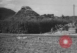 Image of Okinawa people Okinawa Ryukyu Islands, 1945, second 52 stock footage video 65675051491