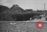 Image of Okinawa people Okinawa Ryukyu Islands, 1945, second 55 stock footage video 65675051491