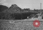 Image of Okinawa people Okinawa Ryukyu Islands, 1945, second 56 stock footage video 65675051491