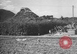 Image of Okinawa people Okinawa Ryukyu Islands, 1945, second 58 stock footage video 65675051491