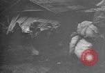 Image of Okinawa people Okinawa Ryukyu Islands, 1945, second 8 stock footage video 65675051492