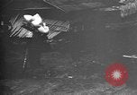 Image of Okinawa people Okinawa Ryukyu Islands, 1945, second 18 stock footage video 65675051492