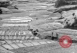 Image of Okinawa people Okinawa Ryukyu Islands, 1945, second 5 stock footage video 65675051493