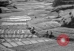 Image of Okinawa people Okinawa Ryukyu Islands, 1945, second 7 stock footage video 65675051493