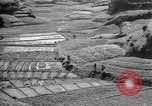 Image of Okinawa people Okinawa Ryukyu Islands, 1945, second 8 stock footage video 65675051493