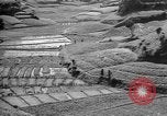 Image of Okinawa people Okinawa Ryukyu Islands, 1945, second 9 stock footage video 65675051493