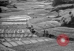 Image of Okinawa people Okinawa Ryukyu Islands, 1945, second 10 stock footage video 65675051493