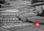 Image of Okinawa people Okinawa Ryukyu Islands, 1945, second 11 stock footage video 65675051493