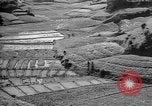 Image of Okinawa people Okinawa Ryukyu Islands, 1945, second 12 stock footage video 65675051493