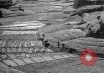 Image of Okinawa people Okinawa Ryukyu Islands, 1945, second 14 stock footage video 65675051493