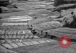 Image of Okinawa people Okinawa Ryukyu Islands, 1945, second 15 stock footage video 65675051493