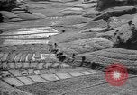 Image of Okinawa people Okinawa Ryukyu Islands, 1945, second 16 stock footage video 65675051493