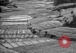 Image of Okinawa people Okinawa Ryukyu Islands, 1945, second 17 stock footage video 65675051493