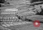 Image of Okinawa people Okinawa Ryukyu Islands, 1945, second 18 stock footage video 65675051493