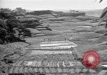 Image of Okinawa people Okinawa Ryukyu Islands, 1945, second 20 stock footage video 65675051493