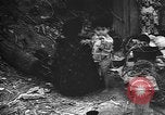 Image of Okinawa people Okinawa Ryukyu Islands, 1945, second 48 stock footage video 65675051493