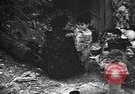 Image of Okinawa people Okinawa Ryukyu Islands, 1945, second 50 stock footage video 65675051493