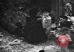 Image of Okinawa people Okinawa Ryukyu Islands, 1945, second 51 stock footage video 65675051493
