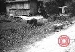 Image of Okinawa people Okinawa Ryukyu Islands, 1945, second 53 stock footage video 65675051493