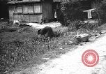 Image of Okinawa people Okinawa Ryukyu Islands, 1945, second 54 stock footage video 65675051493